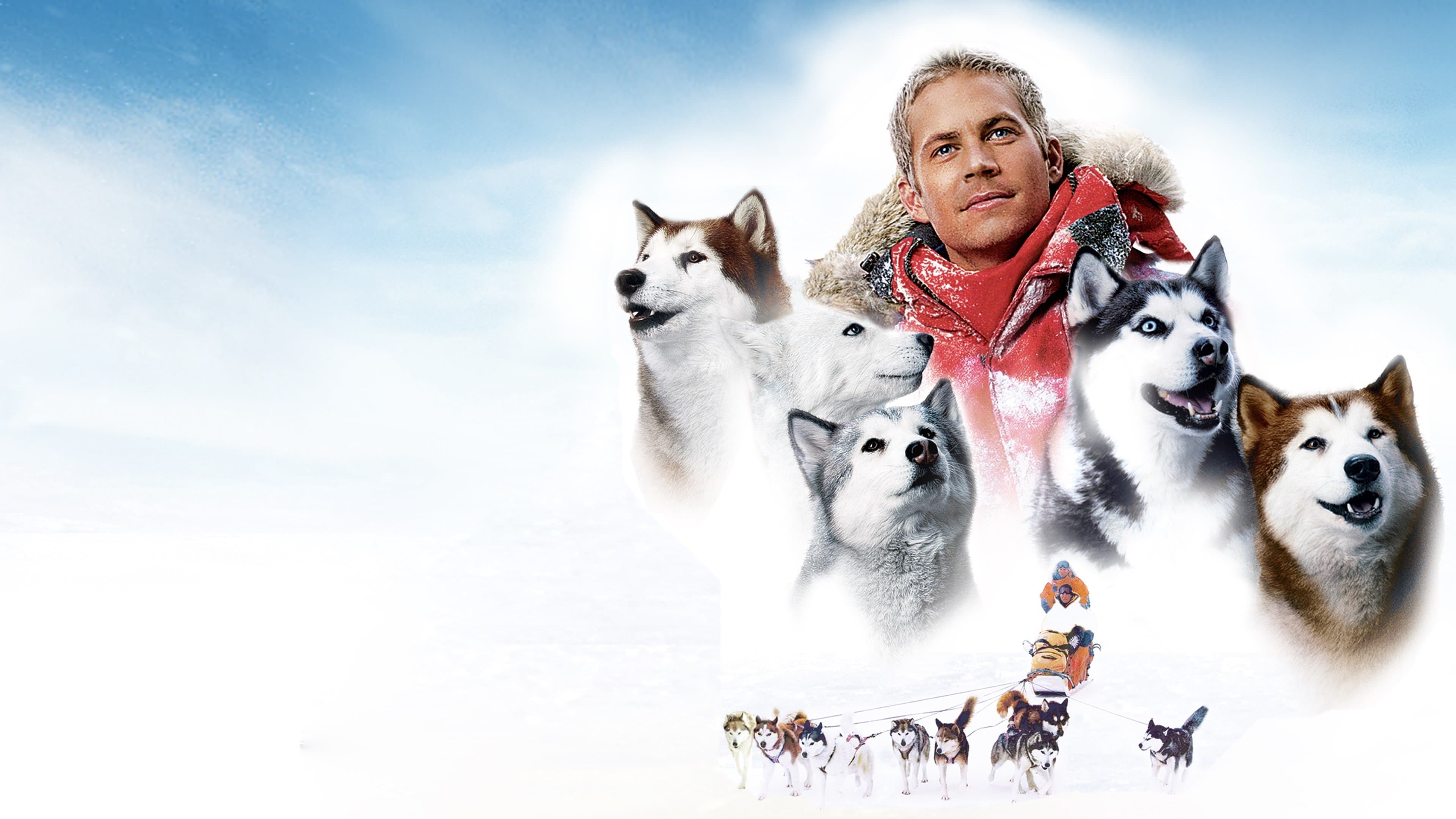 Eight Below screenshot 1