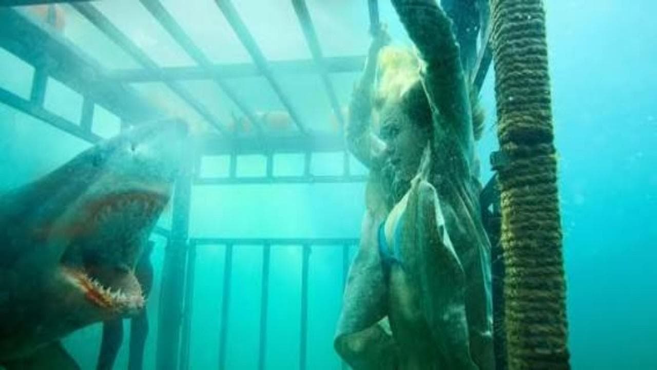 Raging Sharks screenshot 1