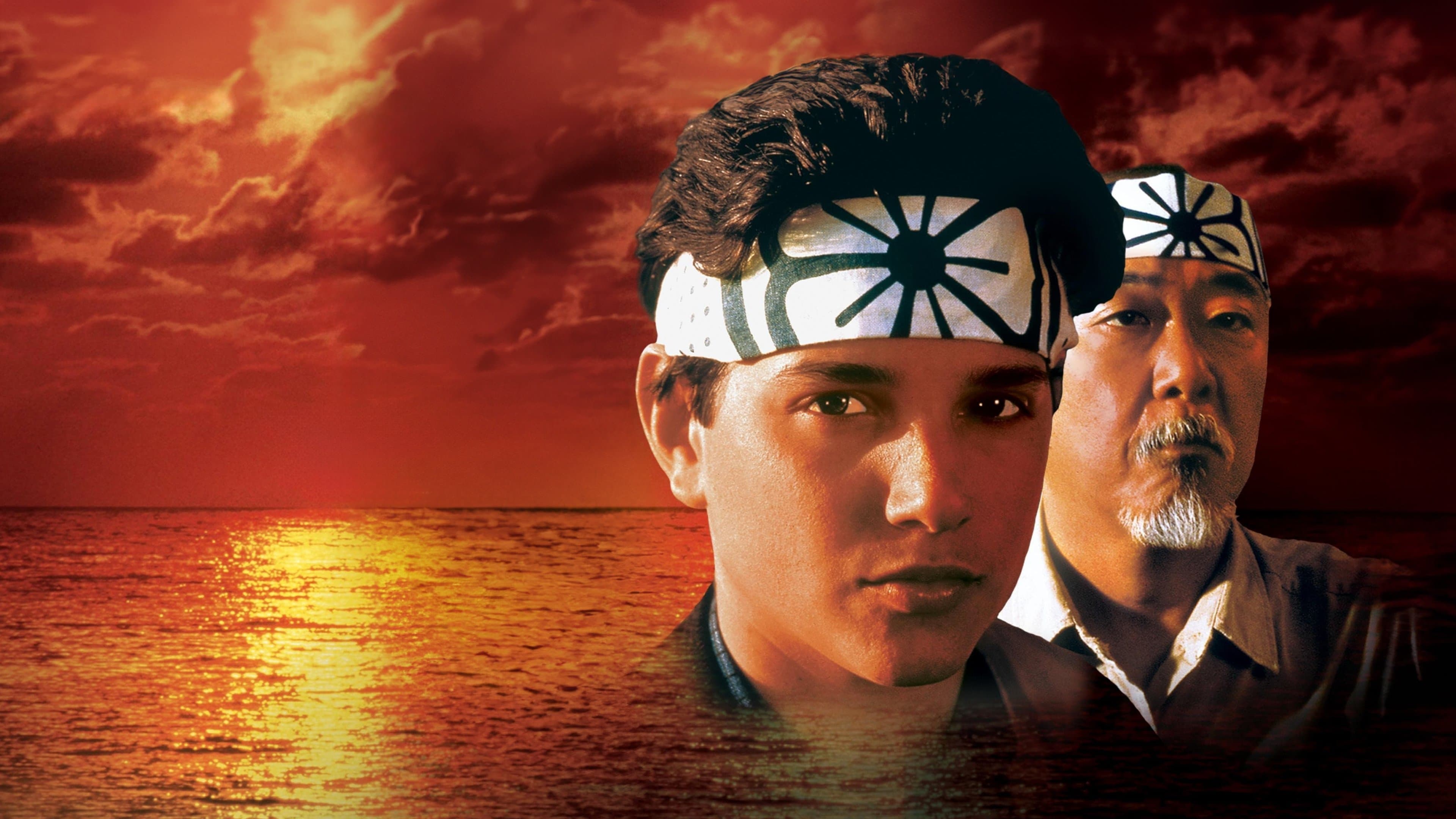 The Karate Kid screenshot 1