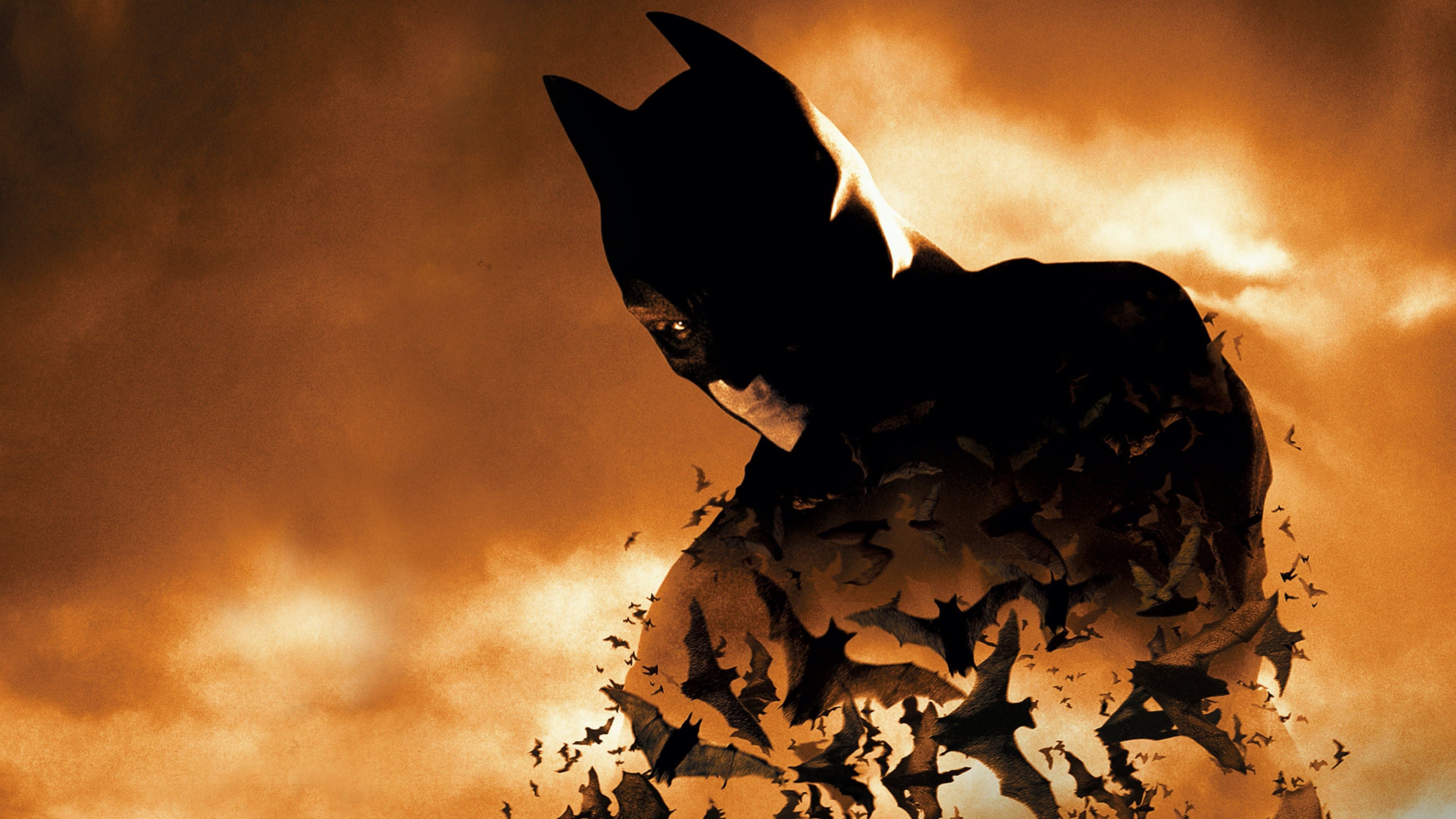 Batman Begins screenshot 1
