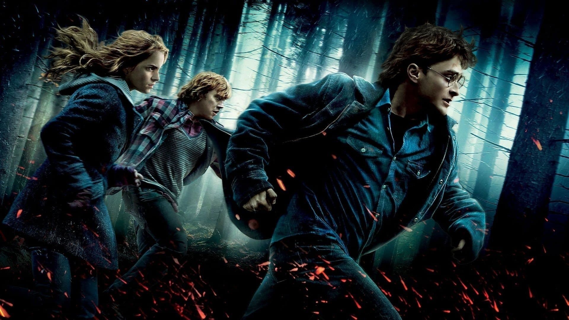 Harry Potter and the Deathly Hallows: Part 1 screenshot 1